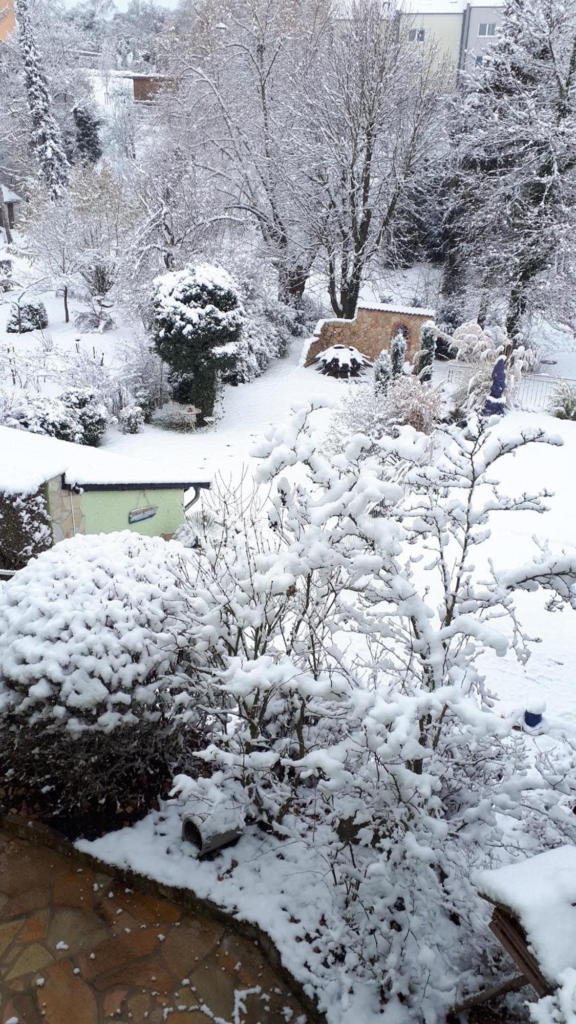 Ferienwohnung Pension Am Weinberg Mainstockheim エクステリア 写真
